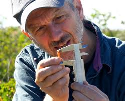 2021 Elliott Coues Award Winner: Peter Arcese