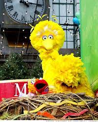 Elmo abby cadabby big bird sesame street live friendship, thanksgiving s, elmo, abby cadabby png. Birds Of Play A Big Client 2 Fortune Small Business