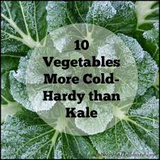 10 Vegetables More Cold Hardy Than Kale