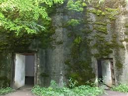 Use them in commercial designs under lifetime, perpetual & worldwide rights. Bild Schutzbunker K5 Nach Planen Von A Hitler Zu Bunker Mauerwald In Mamerki Mauerwald