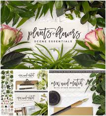 Essential Plants And Flowers Free Download Flowers Free Download Plants Custom Scene