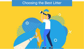 13 Best Cat Litters Of 2019 Unbiased Review Were All