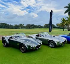 Image result for Vineyard Green 1966 AC Cars