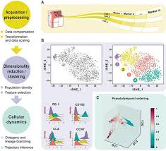 Frontiers Meeting The Challenges Of High Dimensional