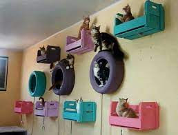 Cat Room Ideas Every Crazy Cat Lady Wants To Get Her Hands On Cool Cat Tree Plans Cat Room Animal Room Cat Playground