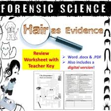 Vocabulary worksheets > science > forensic science. Forensic Science Hair As Evidence Review Worksheet And Answer Key