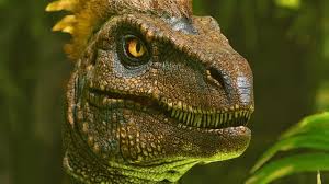 Ark Oviraptor #Gaming #Ark #Arksurvivalevolved #Tame #Oviraptor #Tips ... | Oviraptor  Ark | Tiktok