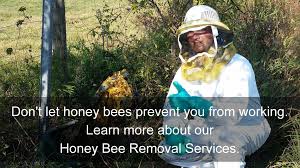 It's never a good thing when a home. City Pest Control