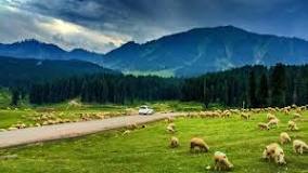 Image result for doodhpathri