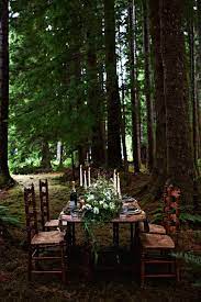 Fern Acres Weddings Olympic Peninsula Wedding Venue Forks Wa 98331 Garden In The Woods Twilight Wedding Forest Wedding Ceremony