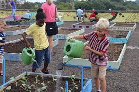 Homeless People Feed Their Community And Learn Sustainable Gardening At This Amazing Shelter Sustainable Garden Organic Gardening Organic Plants
