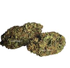 Check spelling or type a new query. Cbd Flower Wholesale Europe Uk Minimum 100g Hemp Flower Hempire Gardens