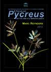 Image result for Pycreus macranthus
