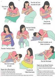 Además de proporcionar todos los nutrientes y la hidratación necesarios, la lactancia materna ayuda a prevenir infecciones gastrointestinales y respiratorias, obesidad, diabetes, leucemia, alergias, cáncer infantil, hipertensión y colesterol alto. Conoce Todo Sobre La Lactancia Materna Y Sus Beneficios