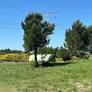 Environmental Concerns Rise Over Solar Panel Project on Roquerousse Hill in Protected Natura 2000 Area