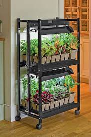 Indoor Gardening Indoor Vegetable Gardening Small Vegetable Gardens Vegetable Garden Tips