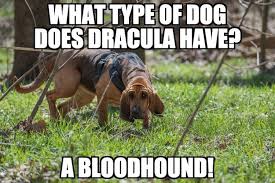 Bloodhound Dog Joke Dog Puns Animal Puns Funny Bloodhound Dogs