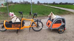 Comfort Wagon L Fahrradanhanger Fur Hunde Fahrradanhanger Fahrradanhanger Biking Hunde Animalshopping Dein Onlineshop Fur Tierzubehor