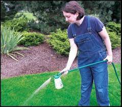 Swing Into Spring Lawn Care Spring Lawn Care Lawn Care Lush Lawn