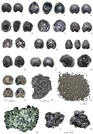 Determining absolute ages is based on radiometric dating. New Ams 14 C Dates Track The Arrival And Spread Of Broomcorn Millet Cultivation And Agricultural Change In Prehistoric Europe Scientific Reports