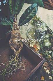 What did j k rowling call her herbology class? Herbology Harry Potter Aesthetic Hogwarts Mandrake