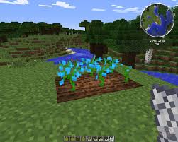 How to plant flowers in minecraft. Growing Flowers Fur Minecraft