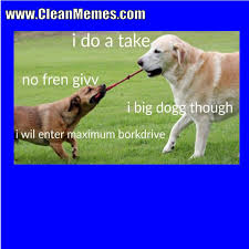 Pin By Clean Memes On Clean Memes Funny Animals Clean Memes Animals