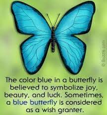 What does blue butterfly mean. Meaning Of A Blue Butterfly Butterfly Quotes Butterfly Tattoo Meaning Blue Butterfly Meaning