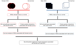 Identification And Characterization Of Sexual Dimorphism