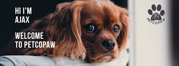 Pro pac puppy food petco. Petco Paw Home Facebook