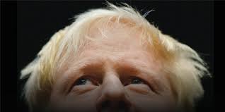 Boris Johnson Hair To The Throne Platinum Publishing Group Boris johnson, the new tory mayor of london, is one of the most colourful characters in british politics. boris johnson hair to the throne