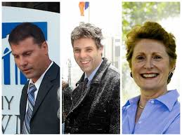 PRIMARY GUIDE: 52nd Assembly District