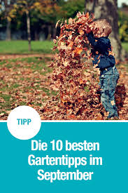 10 Gartentipps Fur September Gardena Gartentipps Garten Herbstgarten