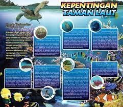Karangan kepentingan laut kepada manusia. Cintai Tioman Kepentingan Taman Laut Facebook
