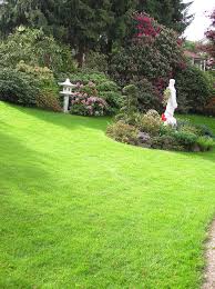 Im garten gibt es ein teehaus und einen wasserlauf, der über kaskaden in einen teich mündet. Gestaltungstipps Fur Japanische Garten Mein Schoner Garten