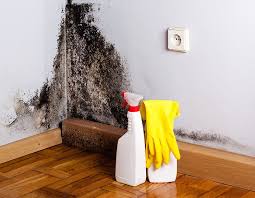 Maybe you would like to learn more about one of these? 4 Signs Your Home Has Toxic Black Mold How To Get Rid Of It