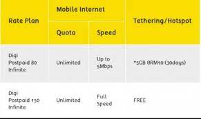 One rate roaming plan (only available while roaming). Digi Infinite Talk