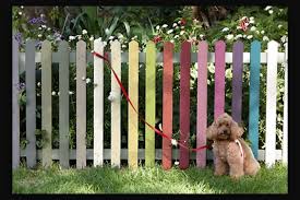 Homebase Garden Paint Love This Rainbow Fence Idea Will Use It For Our Allotment Picket Fence Exterior Wood Paint Fence Paint Decking Oil