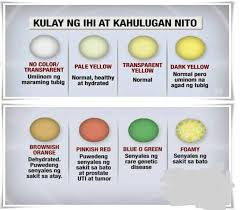 Smileys and people emojis with their meaning. Kulay Ng Ihi At Kahulugan