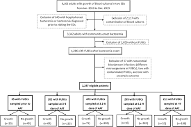 timing of follow up blood cultures for community onset