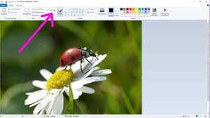 Bearbeite und wandle bilddateien online von deinem browser aus. Fotos Auf Windows 10 Bearbeiten Text Auf Foto Hinzufugen Computer Pc Technik