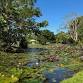 Social birding at Warrina Lakes event image