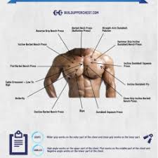 Below is a diagram showing the chest muscles depicting where the different exercises target. Chest Routines For Any Area Of The Chest Muscles Visual Ly