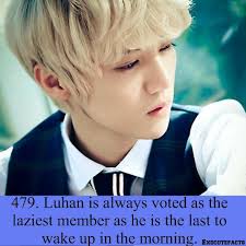 Pin By Babylipsz1 On Exo Luhan Exo Luhan Exo Facts
