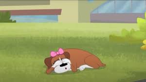 Check spelling or type a new query. Sebastian Cordova On Twitter Pound Puppies 2010 Didn T Deserve To Be Overshadowed By Mlp Fim During The Hub Days This Show Was So Underrated Also Stan Cookie Ynb Https T Co Twgxkd09aa