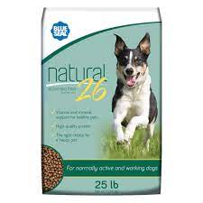 Dog Blue Seal