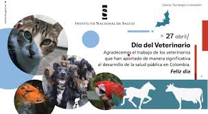 Check spelling or type a new query. Infografias Todos Los Documentos