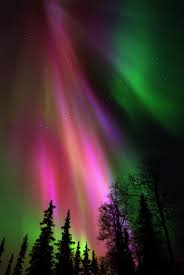 Aurora Borealis In All Its Spectrums And Splendour Above Kakslautten Arctic Resort The Lights Northern Lights Finland Northern Lights See The Northern Lights