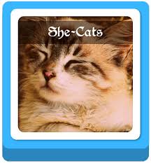 Pick your style and we'll generate a list of awesome options. Warrior Cats Name Generator 100 Warrior Cat Names Imagine Forest