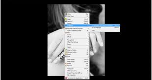 Edit Your Digital Photos With Faststone Image Viewer Digital Photo Image Photo